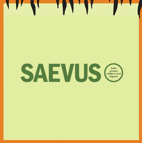 Saevus Eco Quiz